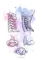 Halswirbel MEDIALSAGITTAL / LATERAL