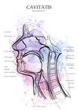 Mundhöhle MEDIALSAGITTAL